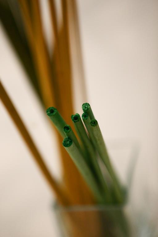 Apartment Green Tea Budapest Center 外观 照片